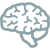 Nervous System / CNS